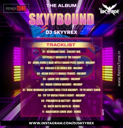 Punjabiyaan Di Battery Mashup - Dj Skyyrex (Skyybound vol 1)