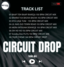 DJ BROTHERS IN THE MIX - BAAP TOH BAAP RAHEGA 150 BPM CIRCUIT MIX