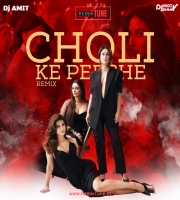 Choli Ke Peeche Returns- DJ AMIT , DJ VAGGY  DJ HANI REMIX