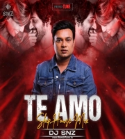 Te Amo (Slap House Mix) - DJ SNZ