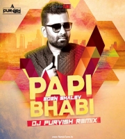 PAPI (Melodic Techno Mix) - DJ PURVISH