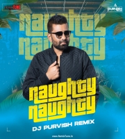 Naughty Naughty  Remix DJ Purvish