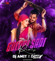 Gulabi Sadi  - DJs Vaggy, Simmy  Amit Tapori Remix