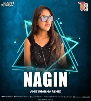 Nagin Theme - Amit Sharma Remix