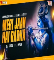 Tuhi To Meri Jaan Hai Radha (Remix) - Dj Gogo