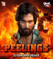 PEELINGS DJ BMK MNY REMIX