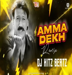 Amma Dekh (2024 Troll Mix) - DJ Hitz Beatz