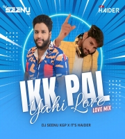 IKK PAL YAHI LOVE MIX DJ SEENU KGP X IT'S HAIDER